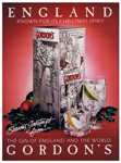 Gordon's Dry Gin - Celebration